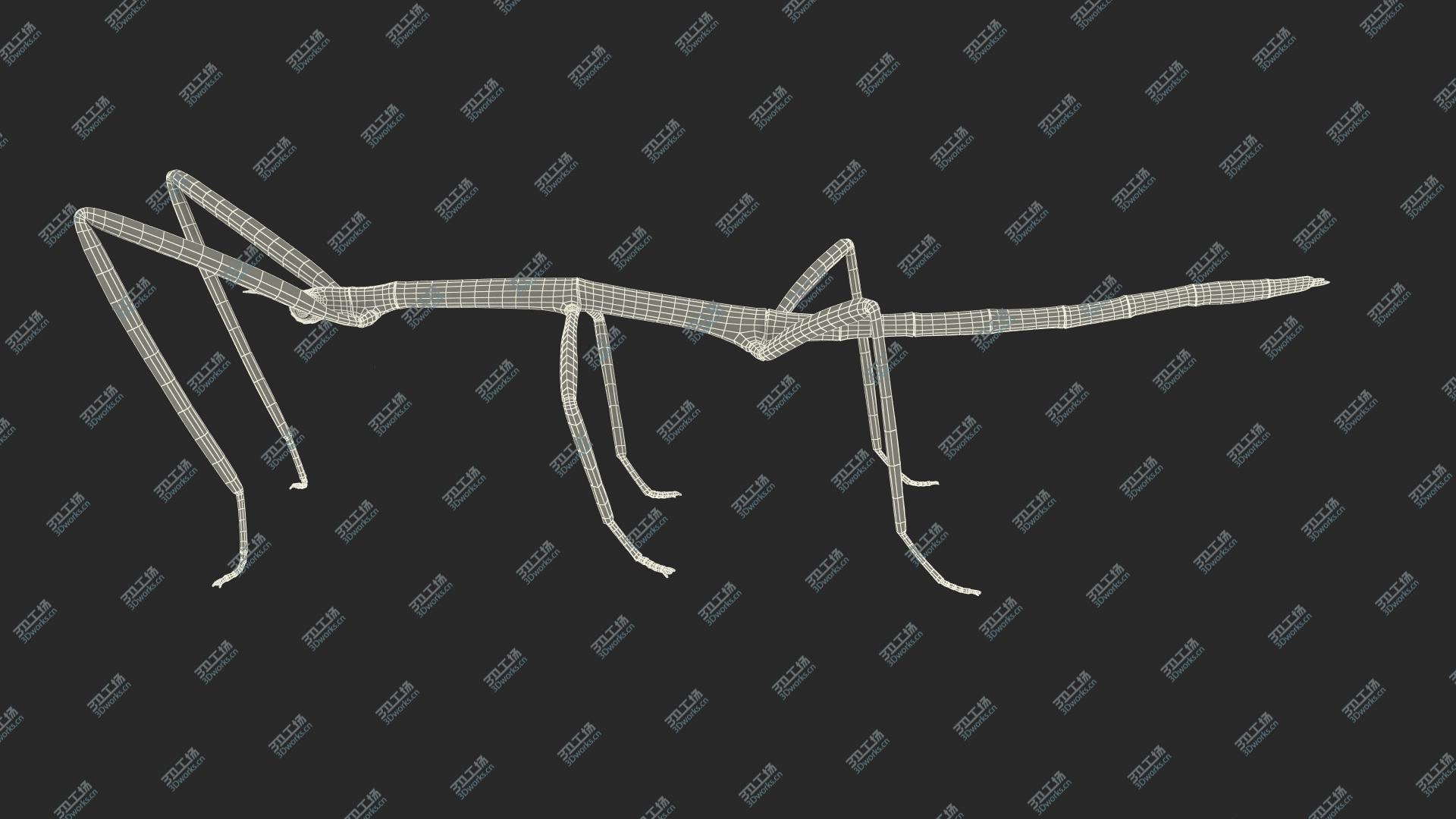 images/goods_img/202105071/Stick Insect Green Rigged 3D model/5.jpg